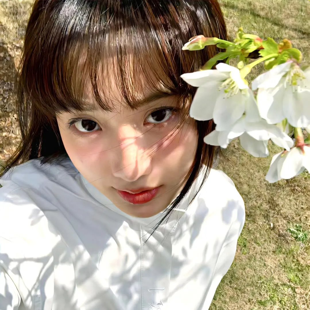 姊妹情深